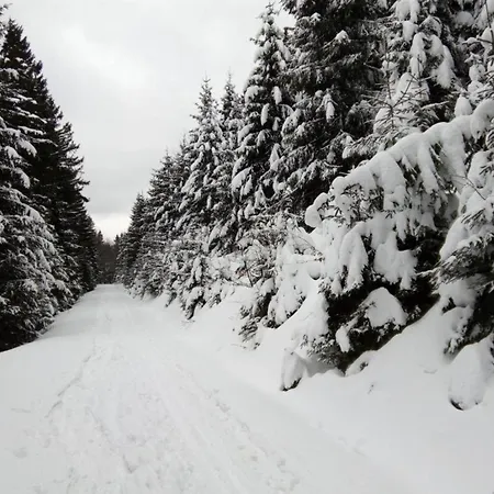 In Near Jested *