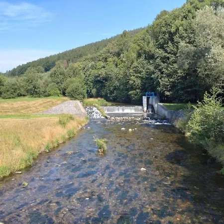 In Near Jested