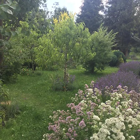 In Near Jested *