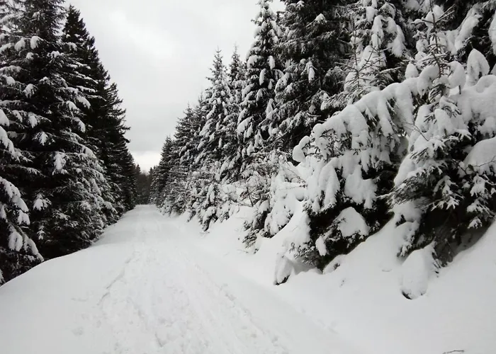 In Near Jested *
