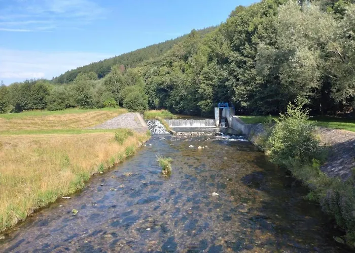 In Near Jested