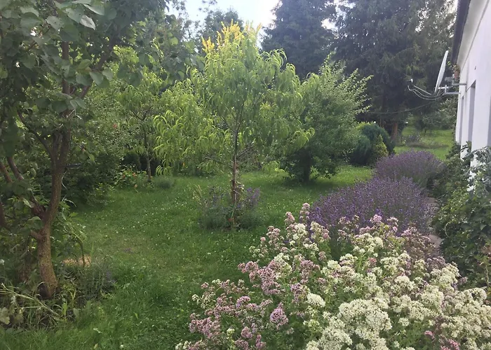 In Near Jested *